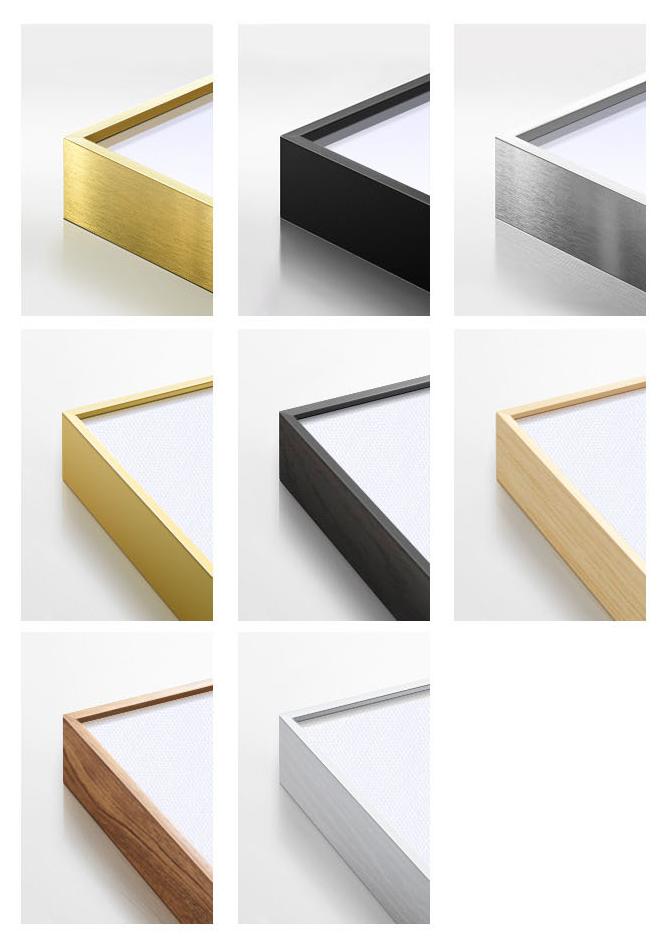 Canvas Art Prints with Frame